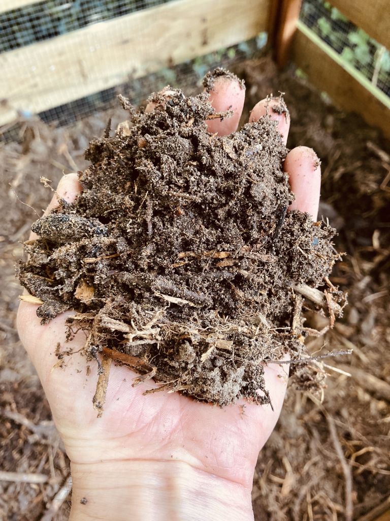 Hand vol zelfgemaakte compost