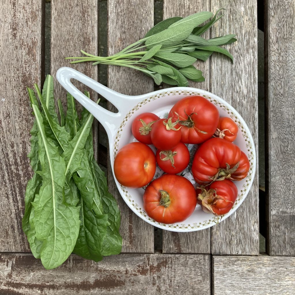 Schaaltje met cherrytomaten en vleestomaten, daarnaast blaadjes van salie en paardebloem.