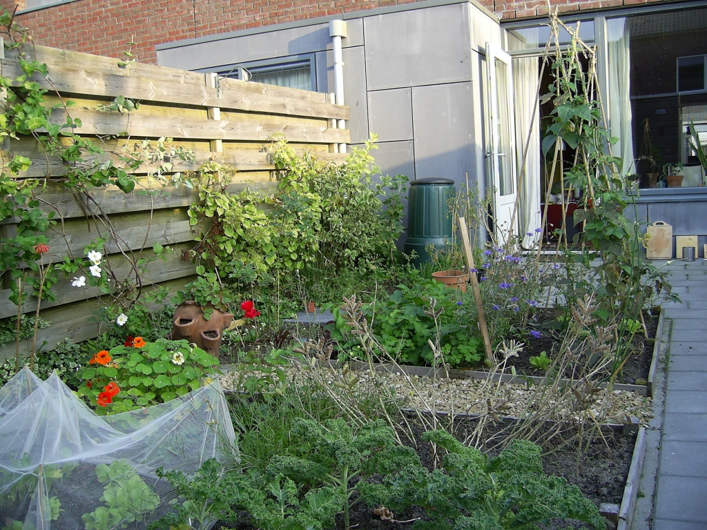 Foto van de tuin met zicht op groentebedden, zomer 2009