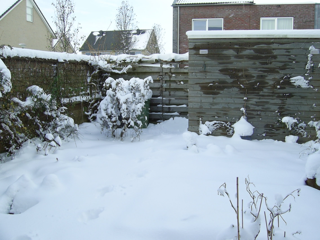 Foto van de tuin onder een dik pak sneeuw, winter 2009