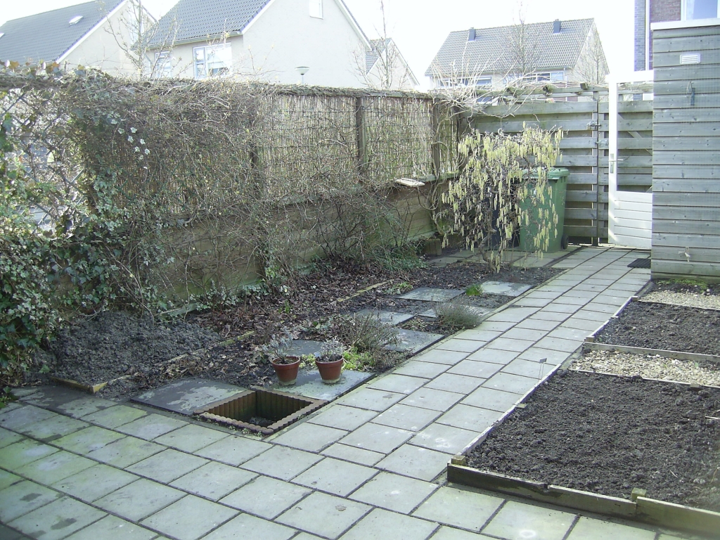 Foto van de tuin met kale groentebedden en bloeiende winterjasmijn en krulhazelaar.