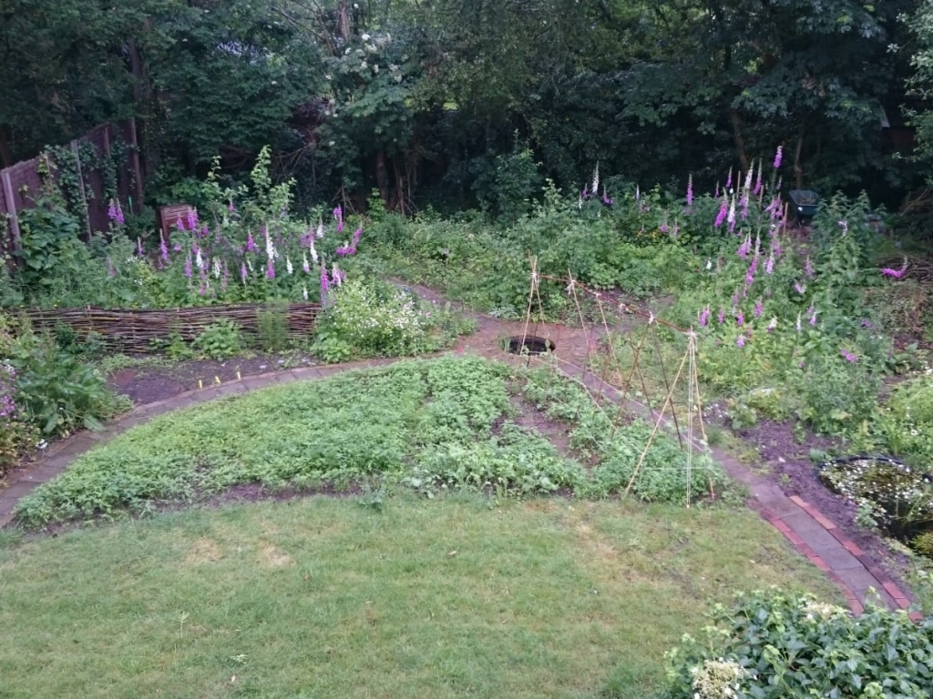 Zicht op de paradijstuin vanaf het balkon, juni 2019