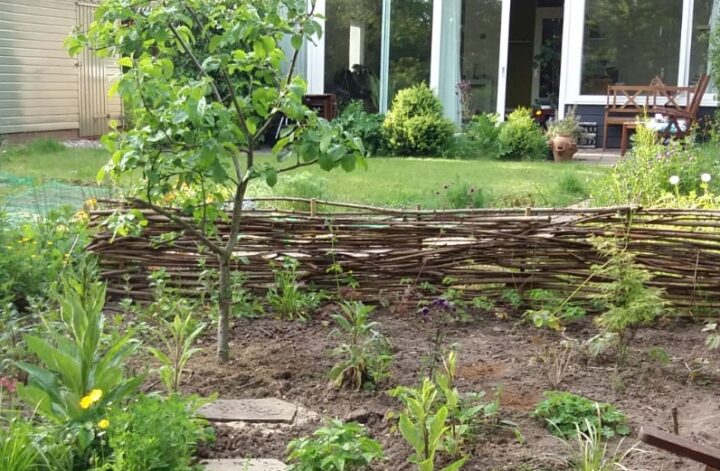 Vlechtwand met op de voorgrond een appelboom en vingerhoedskruid, op de achtergrond het gazon en het huis.