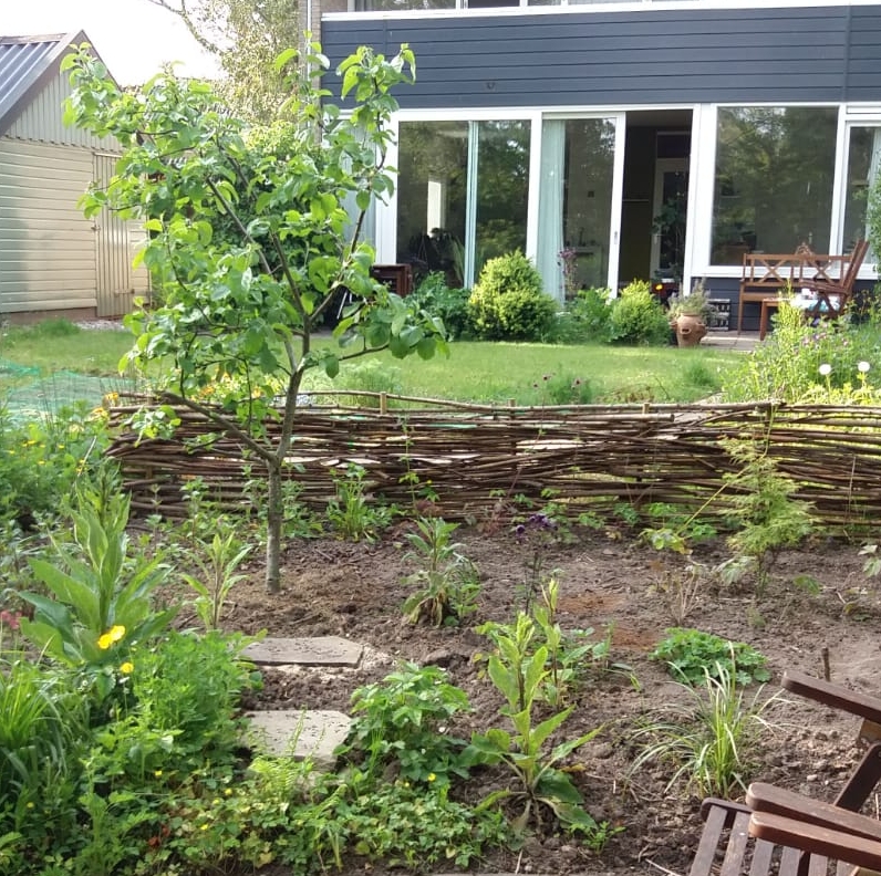 Vlechtwand met op de voorgrond een appelboom en vingerhoedskruid, op de achtergrond het gazon en het huis.